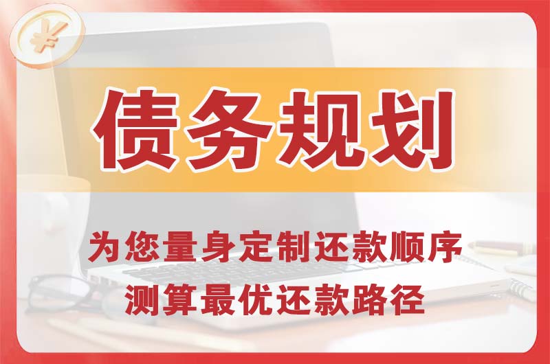 山南债务规划